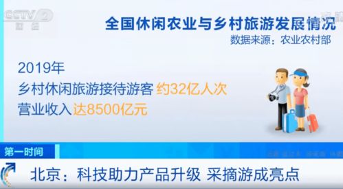 科技助力產品升級，信息技術咨詢服務驅動采摘游成新亮點